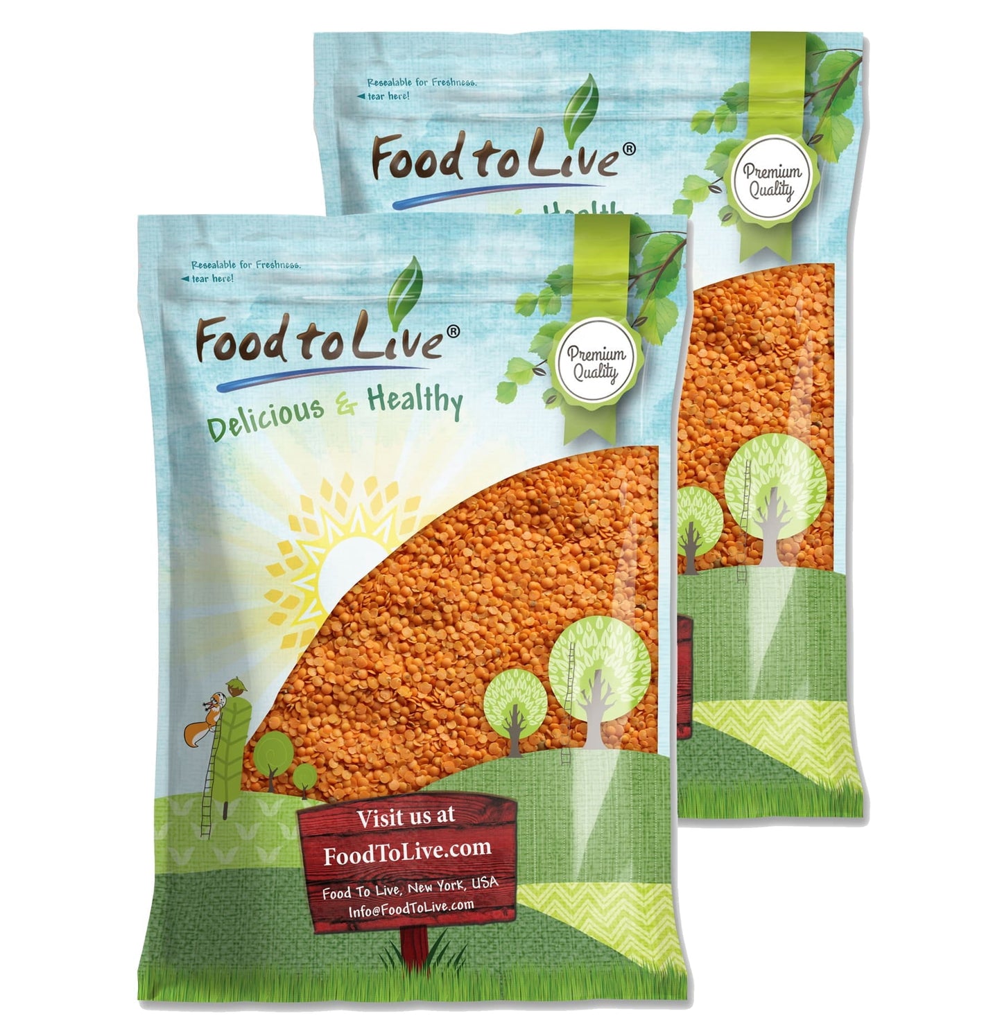 Red Split Lentils, 20 Pounds ?Kosher, Raw, Vegan ?By Food To Live