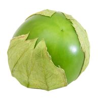 Tomatillo️