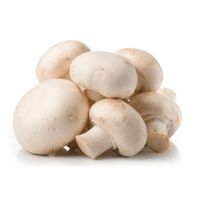 White Mushroom️