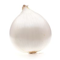 White Onion️