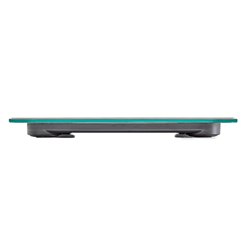 Talking Scales - Clear Loud North American Voice, Big Numbers Stylish Look (Stainless)