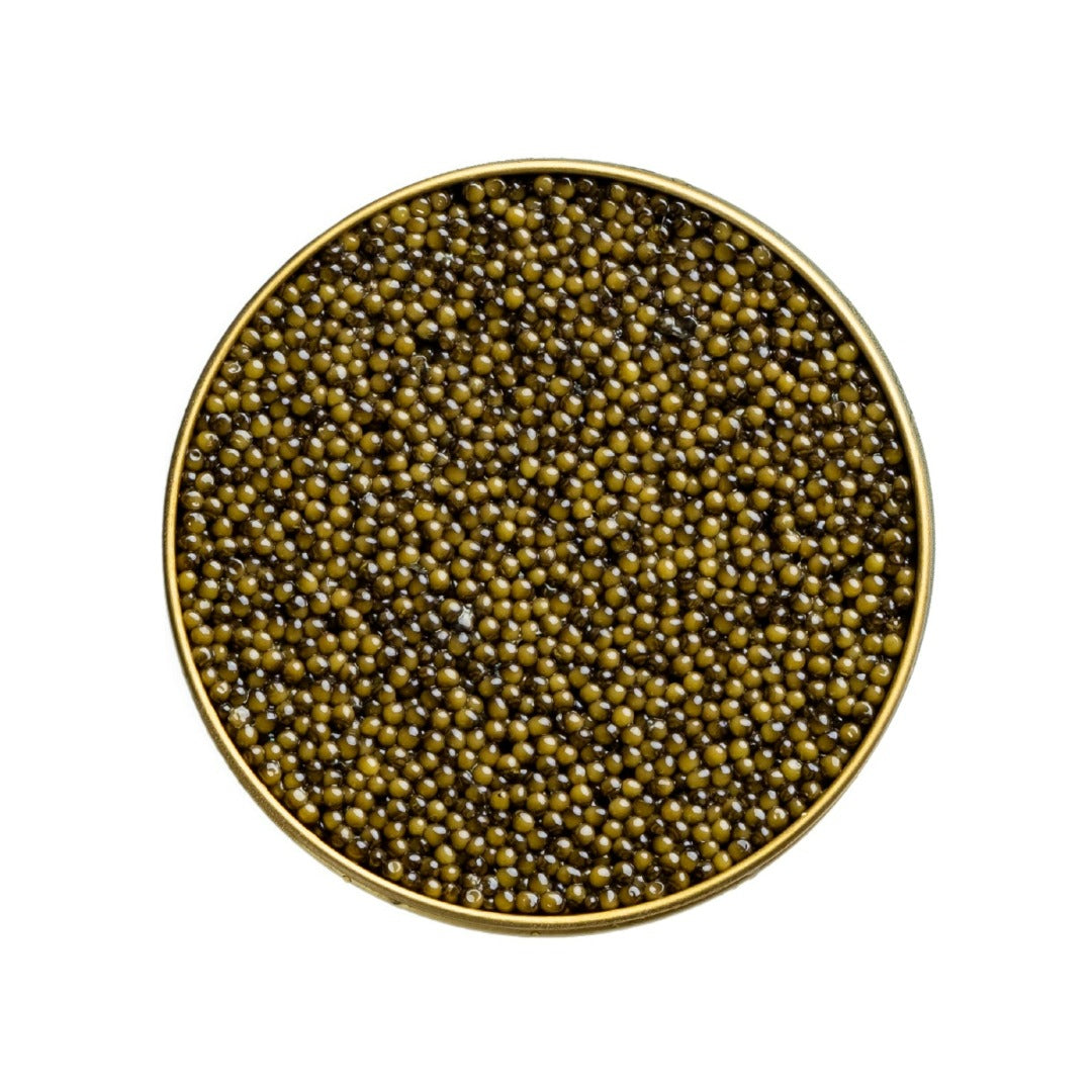 Osetra Reserve 500 g (17.6 oz)