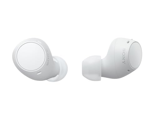 Sony WF-C510 Truly Wireless in-Ear Bluetooth Earbud Headphones with up to 22-Hour Battery, Multipoint-Connection, Mic and ...