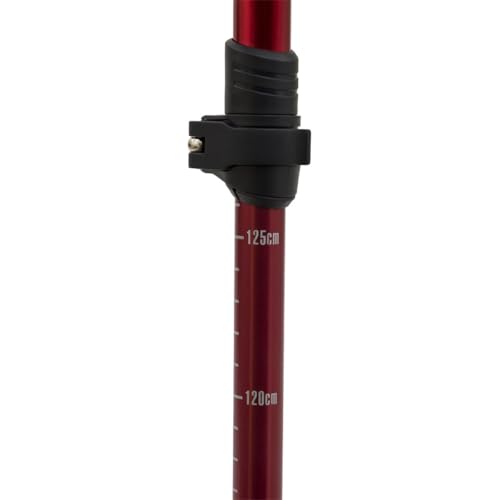 ALPS Mountaineering Trekking Pole