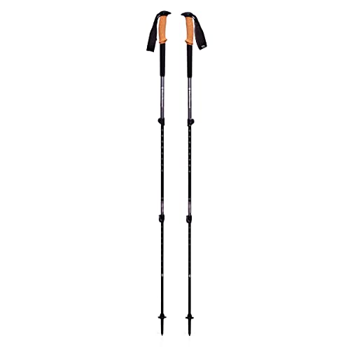 BLACK DIAMOND Trail Trekking Poles (Pair) | Lightweight Aluminum Hiking Poles | Natural, Cork, or Foam Grips | FlickLock A...