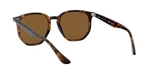 Ray-Ban Unisex Rb4306 Hexagonal Sunglasses
