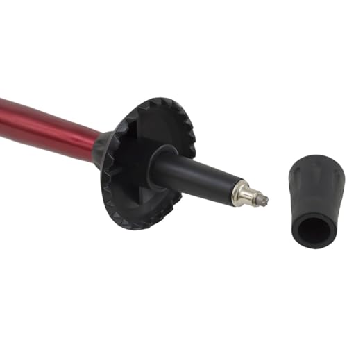 ALPS Mountaineering Trekking Pole