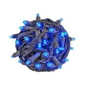 Novelty Lights 50 Led Mini String Lights, 25 Feet, Blue, Copper Wire, Model Mrd-25B-2, Perfect For Outdoor Party Lighting
