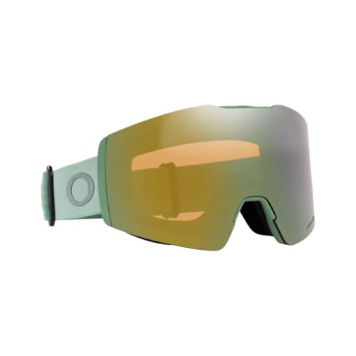 Oakley Unisex Fall Line Medium Snow Goggle