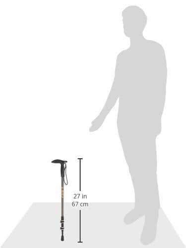 LEKI Wanderfreund Speedlock Trekking Pole