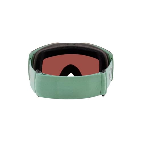 Oakley Unisex Fall Line Medium Snow Goggle