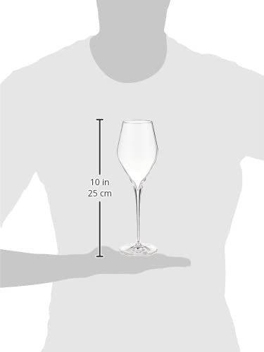 Schott Zwiesel Tritan Crystal Glass Finesse Stemware Collection Champagne Flute with Effervescence Points (Set of 6), 10.0...