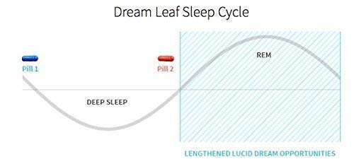 Dream Leaf Pro - Premium Lucid Dreaming Supplement - 60 Capsules,Valerian Root, Mugwort, Alpha GPC, Choline Bitartrate, Huperzine-a