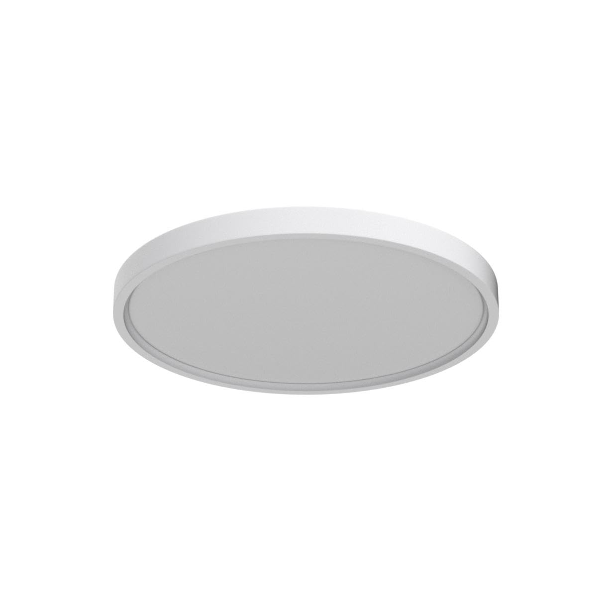 Roomratv Ceiling Light Fixture, 15.8in Flush Mount Nightlight, Remote Control, 3000K-6500K Color Changeable, White Polycarbonate