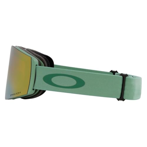 Oakley Unisex Fall Line Medium Snow Goggle