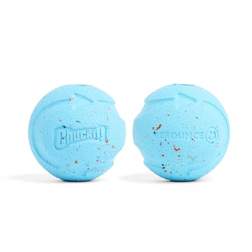 Chuckit! Rebounce Ball Dog Toy - Bouncy Fetch Balls for Dogs 20-60 lbs - Made from Durable Rubber - Outdoor Pet Toys - Siz...