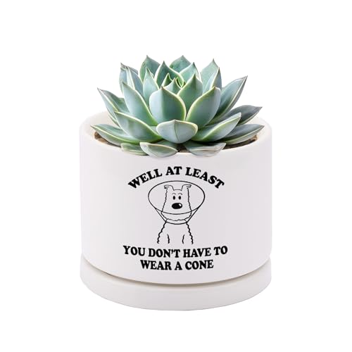 Well at Least You Don’t Have to Wear A Cone Recovery Gifts Ceramic Succulent Plant Pot with Tray Get Well Soon Gifts After...