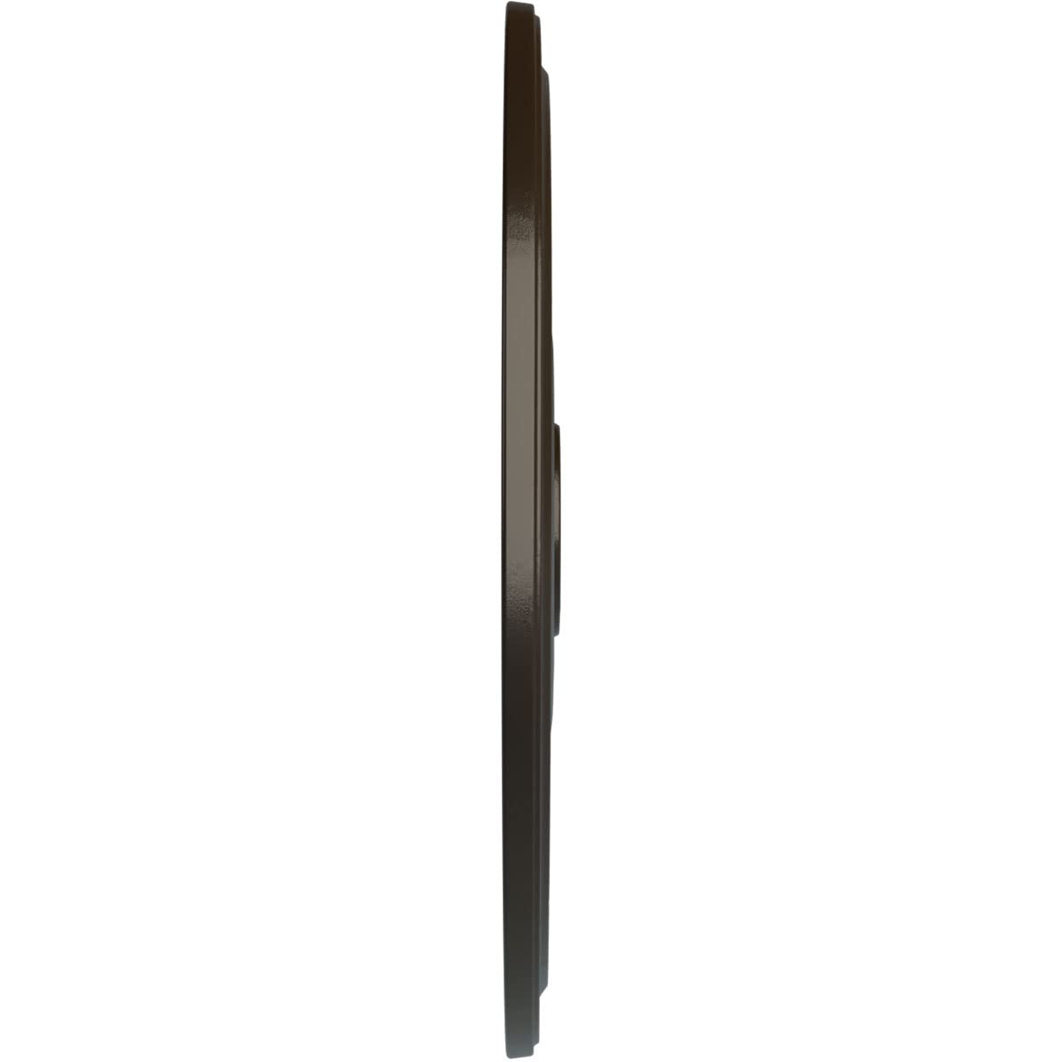 Ekena Millwork Cm24Dishf Diane Ceiling Medallion, 24Od X 3 5/8Id X 1 1/4P (Fits Canopies Up To 6 1/4), Hand-Painted Stone Hearth