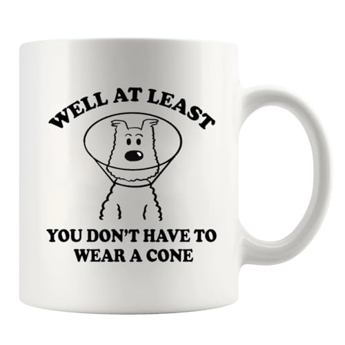 Well At Least You Don’t Have To Wear A Cone Get Well Soon Gifts For Women After Surgery Men Recovery Gifts From Friends Fe...