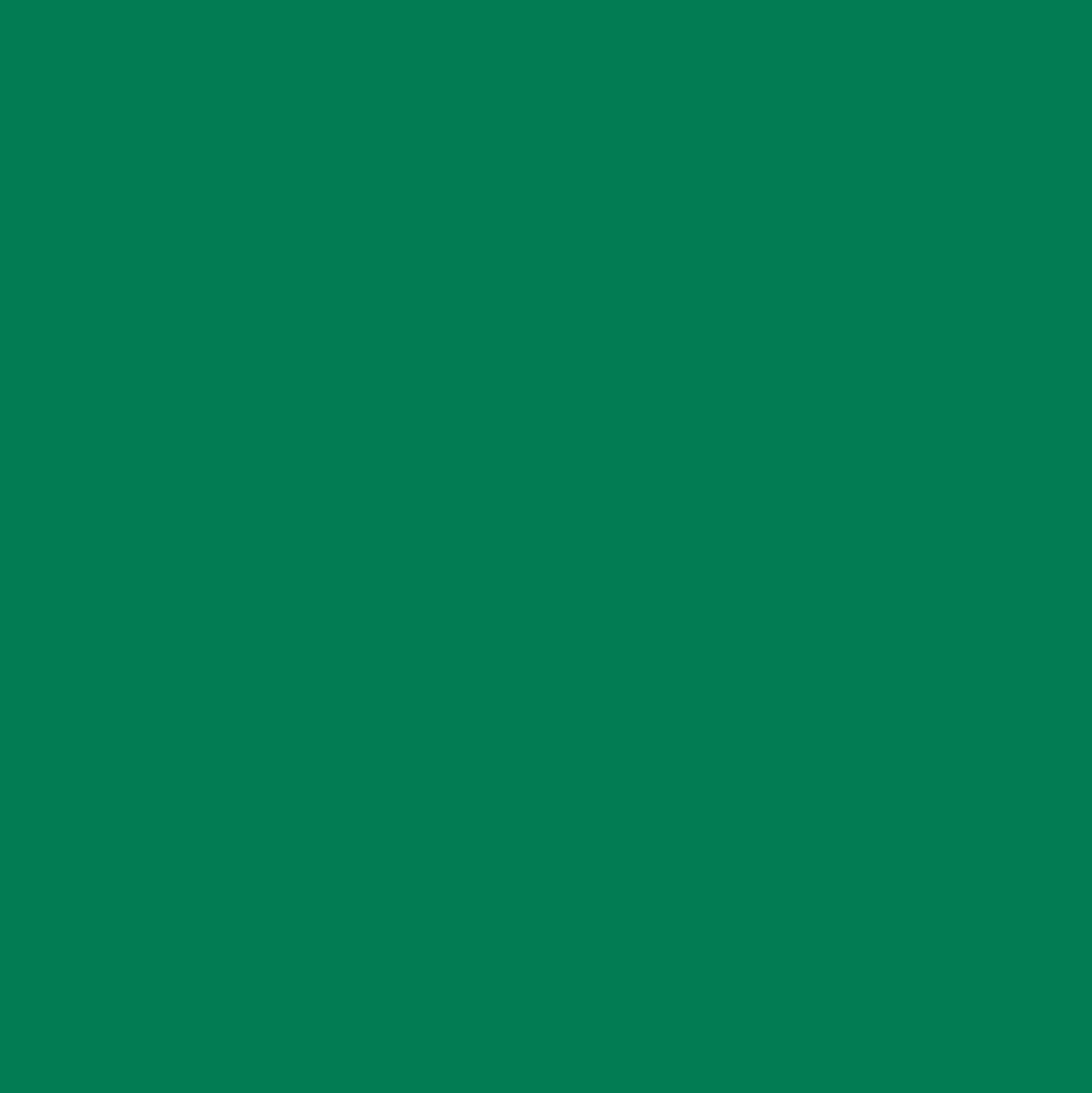 Ant Smart Adhesive Permanent Vinyl Compatible with Cricut Explore and Maker Series Without Cutting Mats, Create DIY Projects, Decals, Stickers & More (Green, 13inchx10ft)