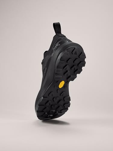 Arc'teryx Vertex Alpine GTX Shoe Men's | Fast and Light Gore-Tex Approach Shoe