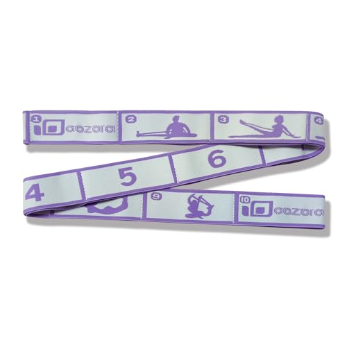 Aozora Stretch Bands for Exercise, Elastic Yoga Stretching Strap, Flex Strap 10 Loops for Physical Therapy, Pilates, Yoga,...