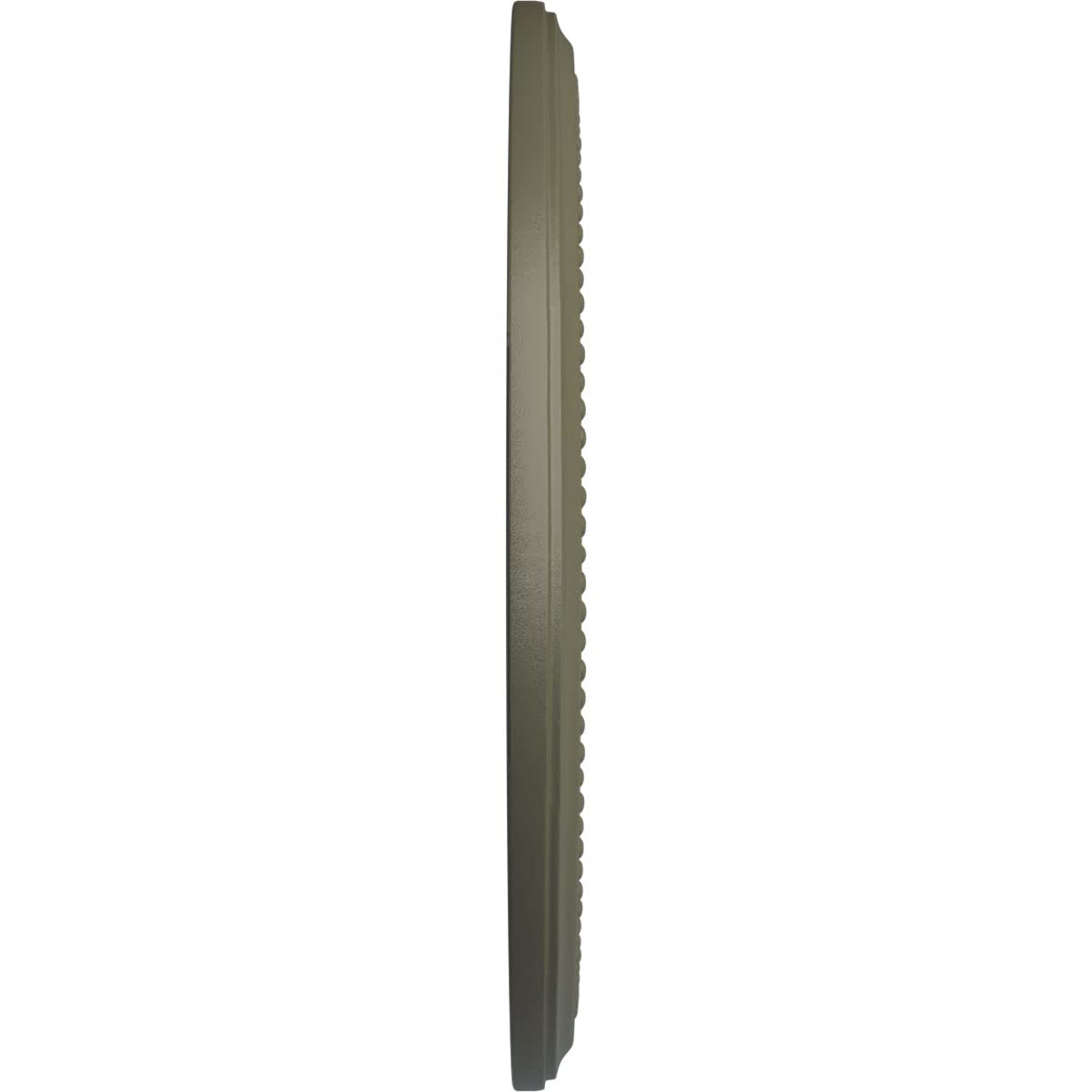 Ekena Millwork Cm18Dissf Diane Ceiling Medallion, 18Od X 3 5/8Id X 1 1/8P (Fits Canopies Up To 5 3/8), Hand-Painted Spartan Ston