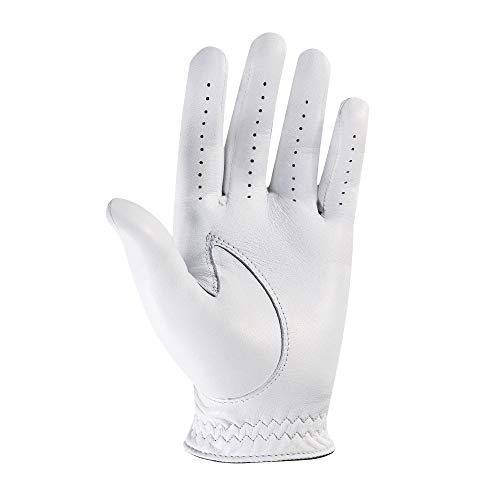 FootJoy Men's StaSof Prior Generation Golf Glove