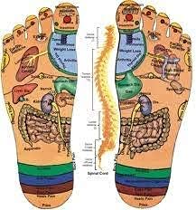 CHOUDHARY ACUPRESSURE Magnetic Pyramidal Therapy for Stress and Pain Relief, Blood Circulatio Heel/Knee/Leg Pain Deluxe Fo...