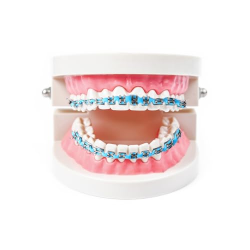 Brackets Falsos Para Dientes, Braces Kit with Brackets & Wire Perfect for Dental Students & Orthodontic Practice, Brackets...