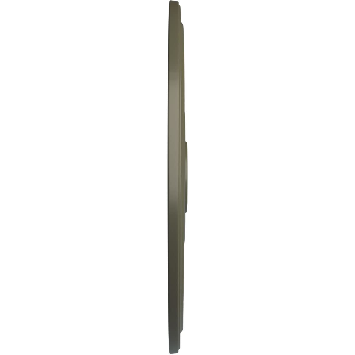Ekena Millwork Cm24Diptf Diane Ceiling Medallion, 24Od X 3 5/8Id X 1 1/4P (Fits Canopies Up To 6 1/4), Hand-Painted Painted Turt