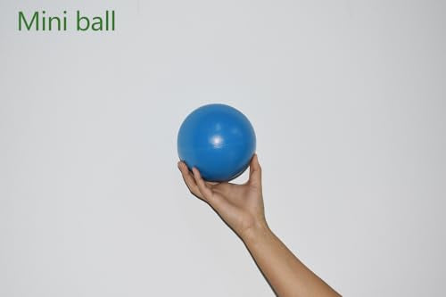 CIZEBO 4 inch Therapy Ball for Release Hip Flexors, Pain Relief for Lower Back Thigh Muscles, Small Exercise Ball for Phys...