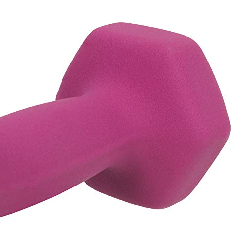 Sunny Health & Fitness Neoprene Coated Hex Shaped Dumbbell Non-Slip Fitness Weights for Home Gym Exercise, Full Body Worko...