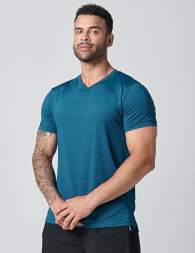 5 Pack Mens V-Neck Dry Fit T-Shirts, Active Athletic Short Sleeve Workout Tops, Performance Gym Tees (Available in Plus Size)