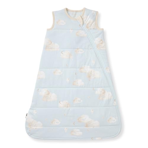 Burt's Bees Baby Unisex Newborn Essentials 100% Organic Cotton Beekeeper Wearable Blanket