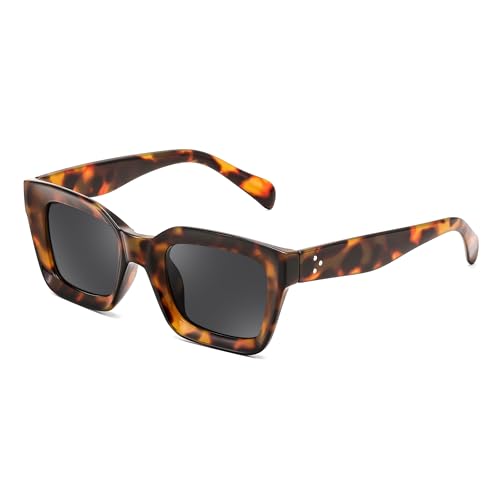 FEISEDY Classic Women Sunglasses Fashion Thick Square Sun Glasses Chunky Frame UV400 B2471