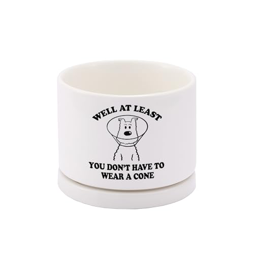 Well at Least You Don’t Have to Wear A Cone Recovery Gifts Ceramic Succulent Plant Pot with Tray Get Well Soon Gifts After...