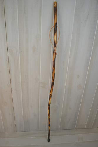 Walking Stick - Free Form Hickory - Curvy Walking Sticks - Strong - Up to 60" - Customize