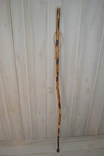Walking Stick - Free Form Hickory - Curvy Walking Sticks - Strong - Up to 60" - Customize