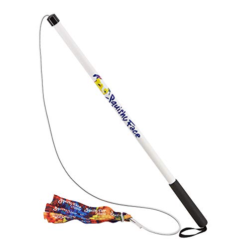 Squishy Face Studio Flirt Pole V2 with Lure - Durable Dog Toy for Fun Obedience Training & Exercise, Rainbow Tie Dye, Regu...