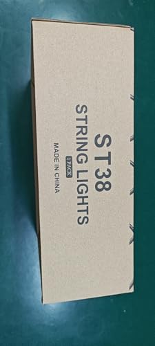 MGVIH Outdoor String Lights, 65FT Waterproof LED with Remote, Dimmable ST38 Shatterproof Bulbs, Black, Model CMC-O24XA