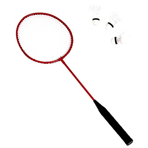 Amazon Basics Outdoor Volleyball and Badminton Combo Set