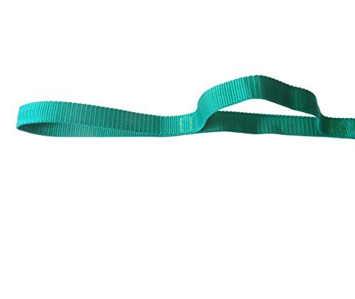 Physical Therapy Stretch Strap by Morning Sky - 10-Loop 73-inch Rehab Strap with Instructional Guide for Rehab, Stretchin...