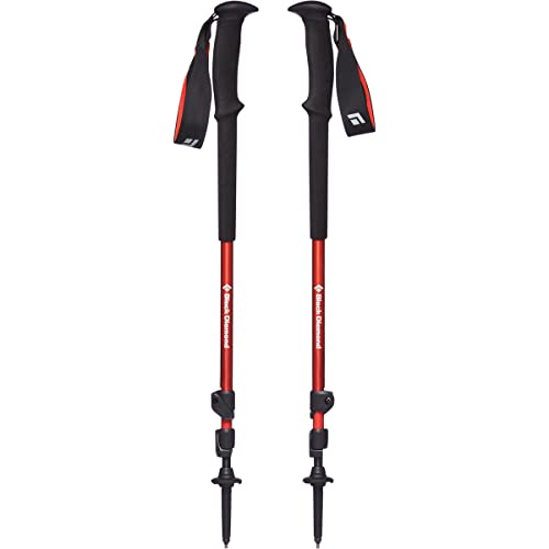BLACK DIAMOND Trail Trekking Poles (Pair) | Lightweight Aluminum Hiking Poles | Natural, Cork, or Foam Grips | FlickLock A...