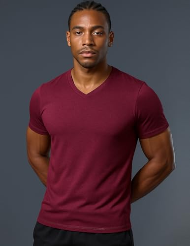 5 Pack Mens V-Neck Dry Fit T-Shirts, Active Athletic Short Sleeve Workout Tops, Performance Gym Tees (Available in Plus Size)