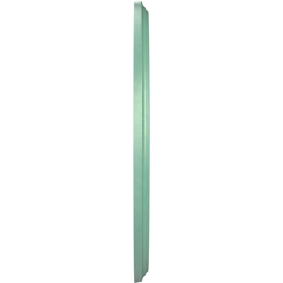 Ekena Millwork Cmp16Befsm Berkshire Thermoformed Pvc Ceiling Medallion (Fits Canopies Up To 7), 16Od X 3 1/2Id X 1P, Universal P