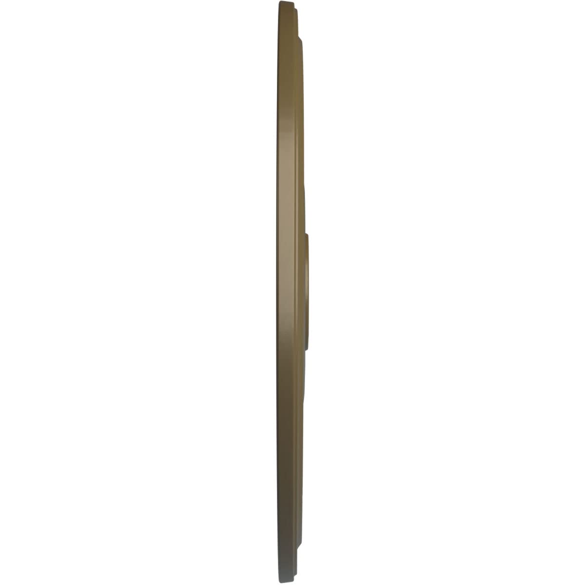 Ekena Millwork Cm24Dimmf Diane Ceiling Medallion, 24Od X 3 5/8Id X 1 1/4P (Fits Canopies Up To 6 1/4), Hand-Painted Mississippi