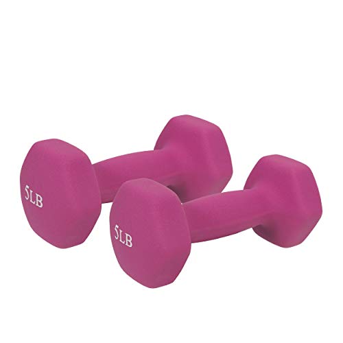 Sunny Health & Fitness Neoprene Coated Hex Shaped Dumbbell Non-Slip Fitness Weights for Home Gym Exercise, Full Body Worko...