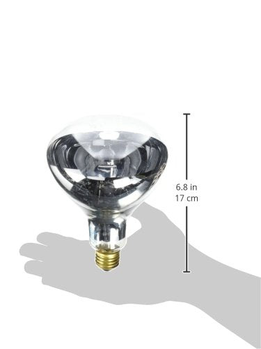 Westinghouse Lighting 0391500  375 Watt  120 Volt Clear Incandescent R40 Light Bulb - 5000 Hours
