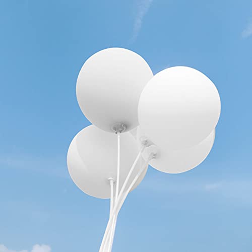 ASIYUHY White Balloons 100 Pack 12 Inch White Latex Party Balloons with 2 Rolls of Ribbon Helium Balloons for Wedding Birt...